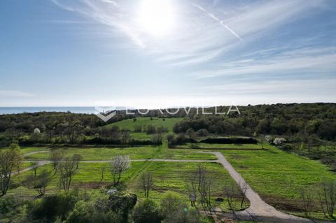 3 km from Poreč, a parceled agricultural plot of square shape is for sale. The land is 700m from the sea and has an access asphalt road. A wide range of possibilities for agricultural or investment needs. We are at your disposal for more... For this ...