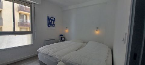 photo no. 7