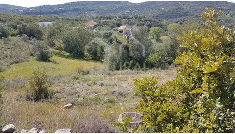 Property with Rainfed Trees and Excellent Location, Just 1km from the Center of São Brás de Alportel. Discover the serenity and natural beauty of the Algarve with this 4770m² rustic plot located in Almargens, São Brás de Alportel. This property is an...