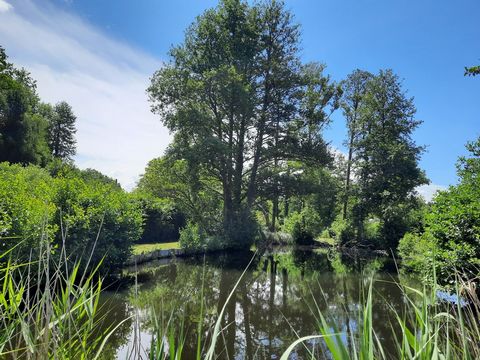 Avfart Bouloire, 25mn LE MANS - 72 stor möjlighet!! Trevlig väl tilltagen fritidsmark med damm på ca 800m2, skjul och ligger vid kanten av bäcken. Perfekt för fiske och avkoppling - grön miljö. Kom och besök detta land snabbt med din fastighetsbyrå A...