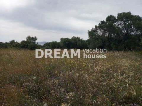 Description En vente Lopin de terre, Agios Nikolaos, 4.000 m2, Dans lot/avec jardin 4000 m2, Prix: 120.000€ Description detaillée Terrain d'une superficie totale de 4000 m² dans un environnement très calme et verdoyant, près d'Agios Nikolaos de Volim...