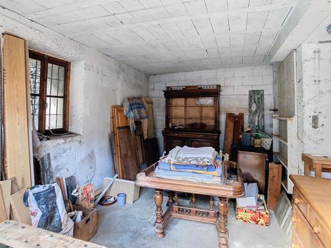 photo no. 5