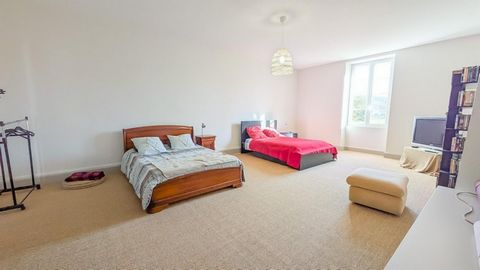 photo no. 11