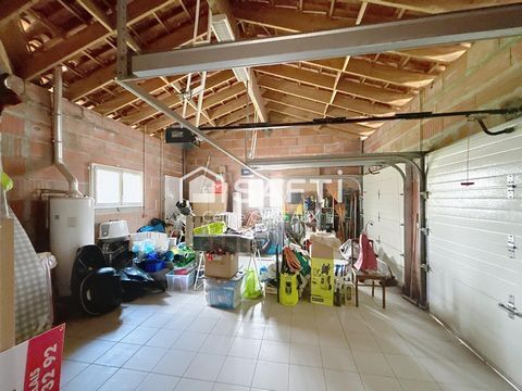 photo no. 11