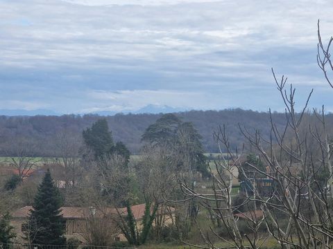 photo no. 15