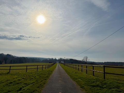 photo no. 1