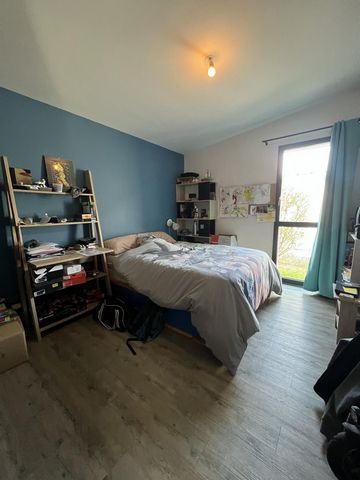 photo no. 6
