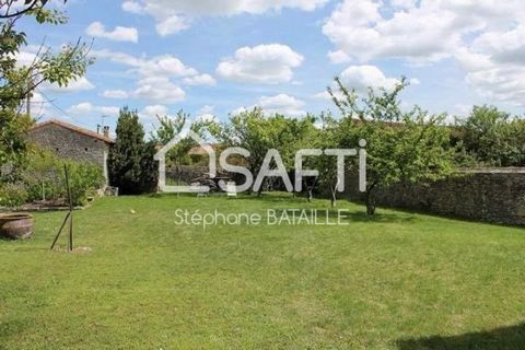 photo no. 11