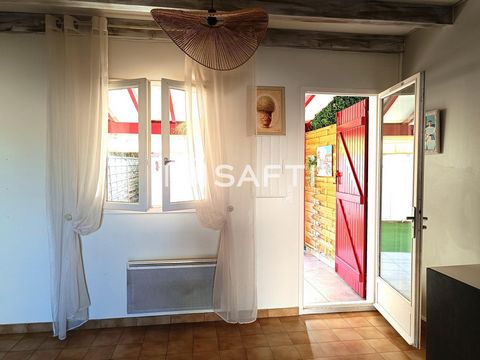 photo no. 12