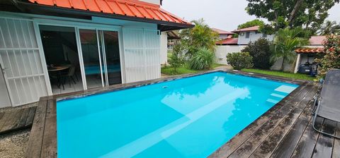 photo no. 11