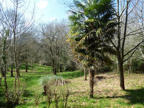 photo no. 14