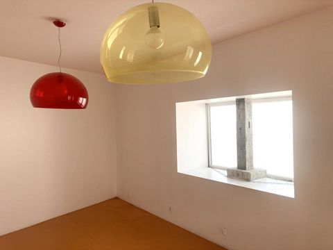 photo no. 9