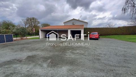 photo no. 13