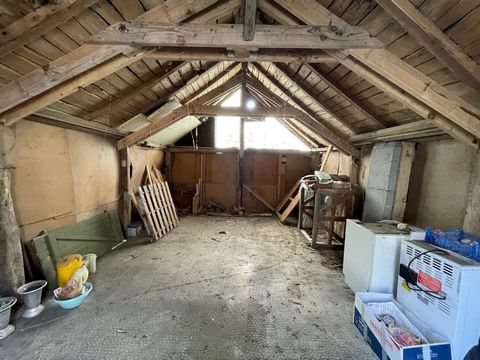 photo no. 3