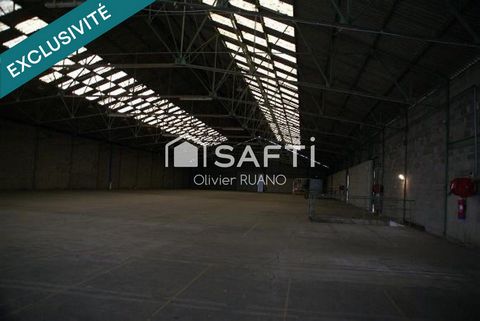 photo no. 7