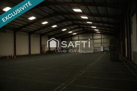 photo no. 12