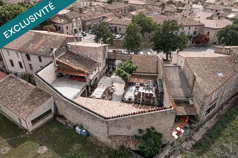 Ensemble Immobilier à Lagrasse, appartements, murs commerciaux et locaux.