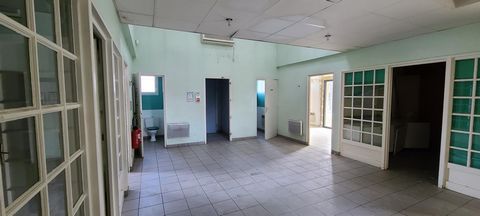 photo no. 4