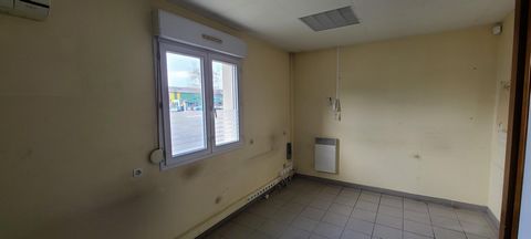 photo no. 10