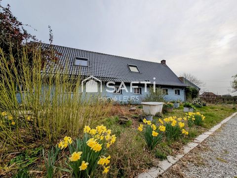 photo no. 19