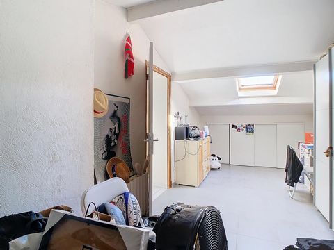 photo no. 8
