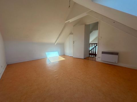 photo no. 6