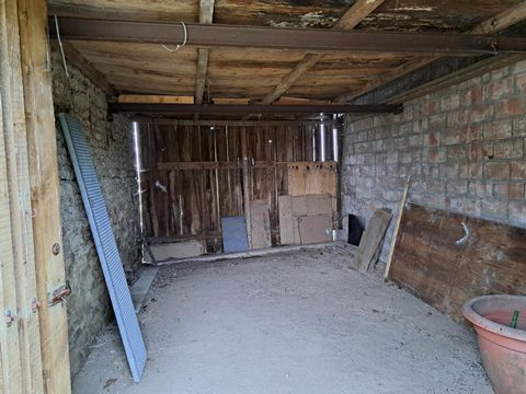 photo no. 11