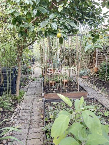 photo no. 12