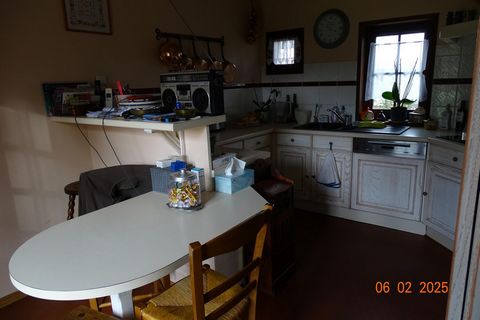 photo no. 8