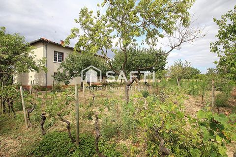 photo no. 12