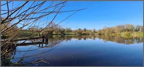 photo no. 7