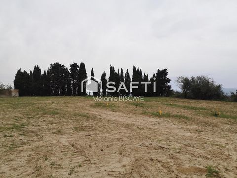 photo no. 2