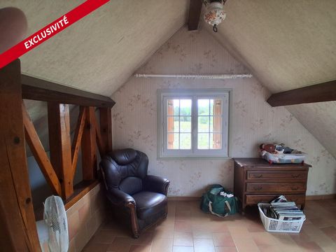 photo no. 10
