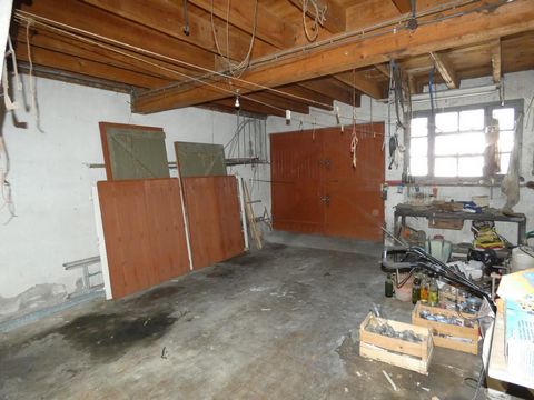 photo no. 12