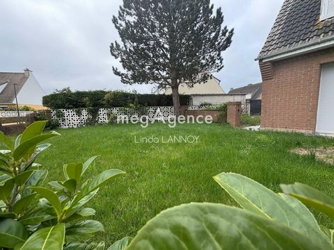 photo no. 7