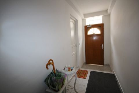 photo no. 1