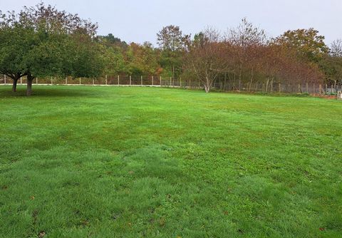 Terrain