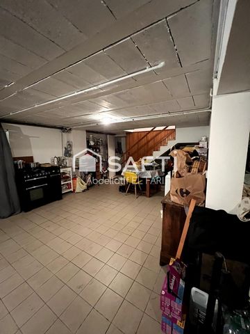 photo no. 11