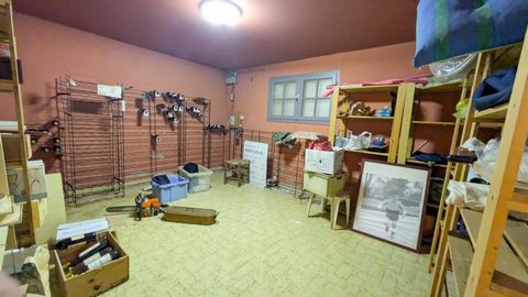 photo no. 7