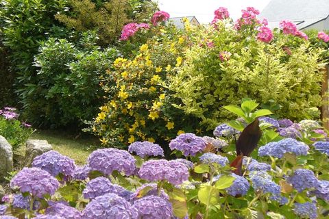 A soli 300 metri da una spiaggia sabbiosa. Questa luminosa casa vacanze è situata in una posizione tranquilla su un terreno con giardino splendidamente paesaggistico. L'arredamento moderno, completato dal soffitto con travi in legno naturale e dalle ...