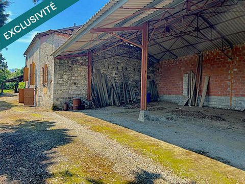 photo no. 10
