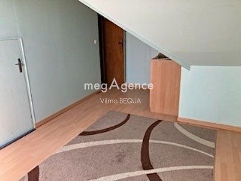photo no. 11