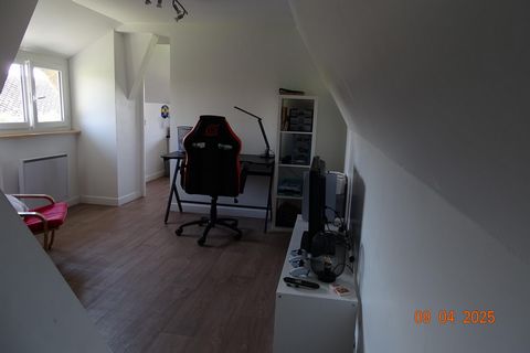 photo no. 8