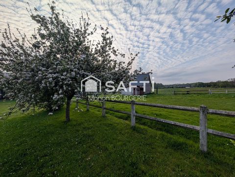 photo no. 13