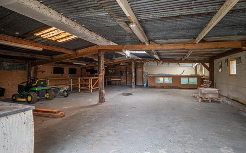 photo no. 10