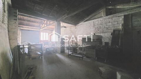 photo no. 7