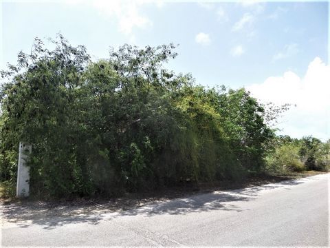 Located on the main road in Lower Deadman's Cay, this lot is near to shops, churches and the school. It's a great investment property.