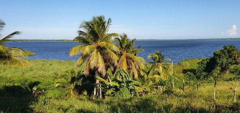 Działka z widokiem na lagunę, Miches Laguna Beach, marzenie deweloperów. Oferuje niezakłócone widoki na zapierającą dech w piersiach lagunę Miches, góry Nisibon i wzgórza Uvero Alto. To jest miejsce, w którym kokosy dosłownie spadają z drzew na twoje...