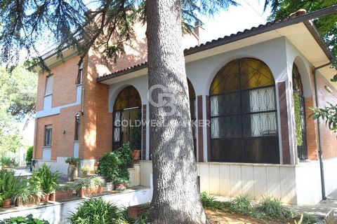 Municipality of Sant'Angelo, Montardone area, and precisely in Via Palombarese we offer for sale villa on three levels of about 550 square meters with land of about 1.5 hectares (15,000 square meters) where there are 127 olive trees (leccino and fran...