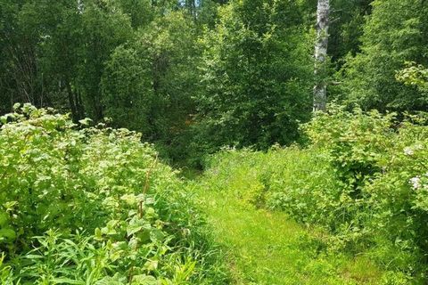 Welcome to our cottage in Hennan Hälsingland. Here you have a perfect place to start from when it comes to hiking, fishing, swimming, skiing and a lot of adventures. Here you live comfortably and have nature with water and forest close by, below the ...